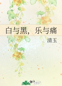 《白与黑,乐与痛》